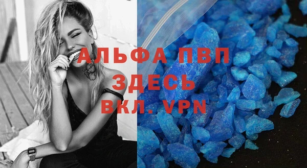 индика Верея